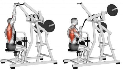 Máquina de lat pulldown com discos